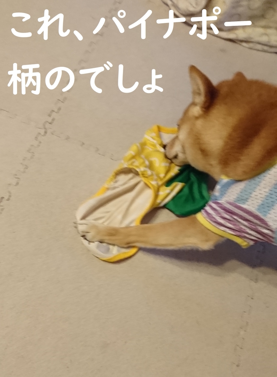 f:id:hanatara:20190706191046j:plain