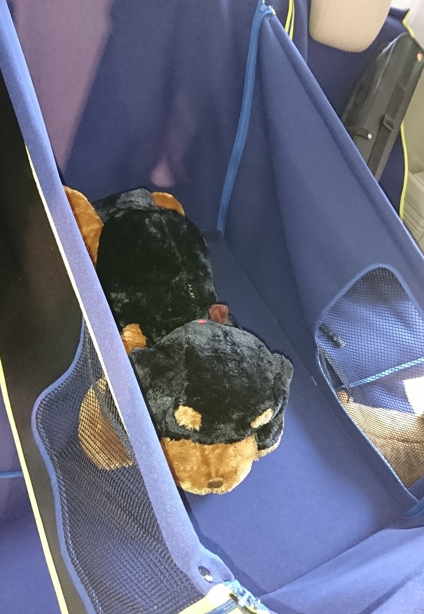 f:id:hanatara:20190711204522j:plain