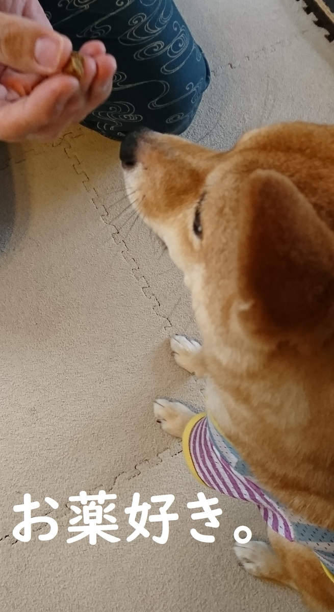 f:id:hanatara:20190711204710j:plain