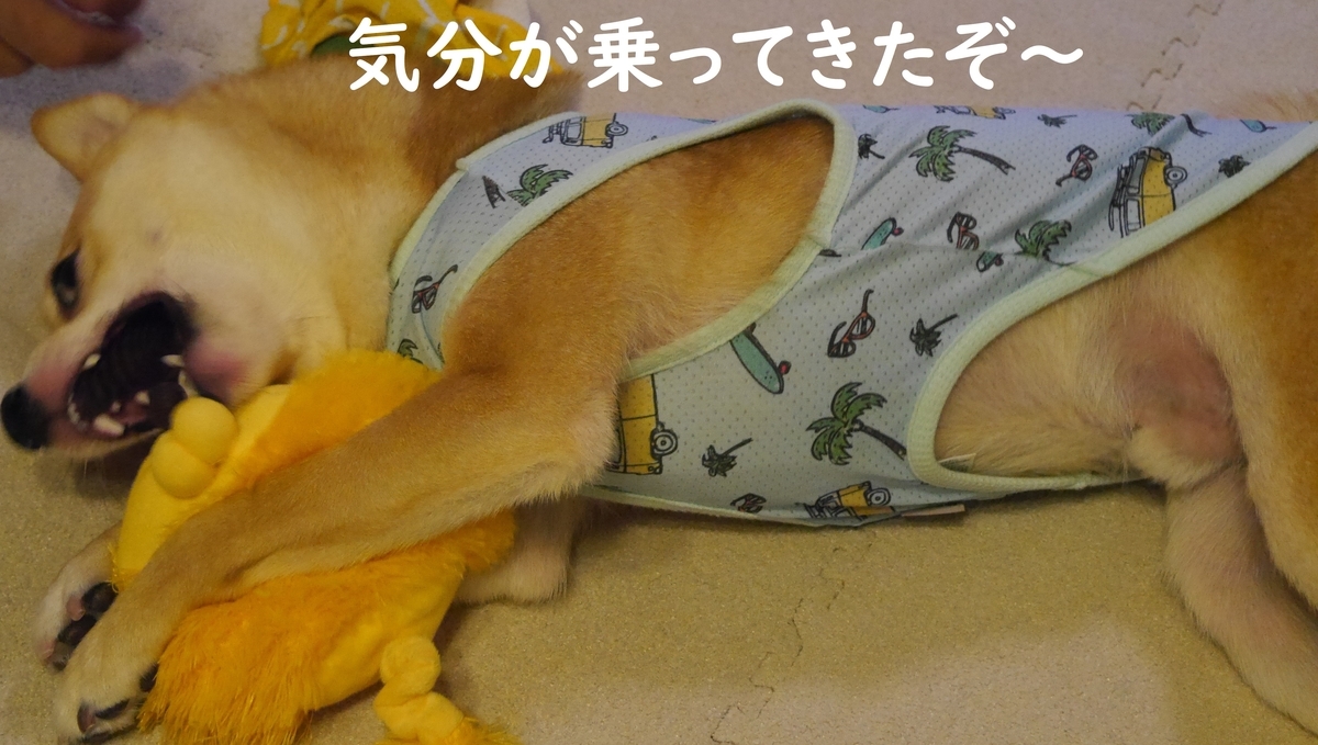 f:id:hanatara:20190712180951j:plain