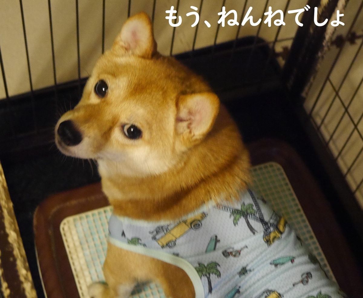 f:id:hanatara:20190712181722j:plain f:id:hanatara:20190712181722j:plain
