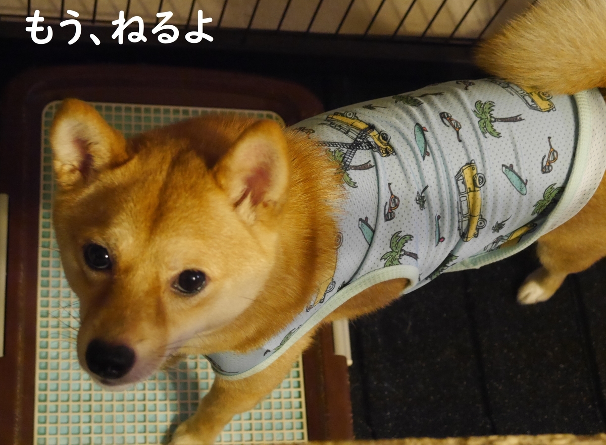 f:id:hanatara:20190712182135j:plain f:id:hanatara:20190712182135j:plain