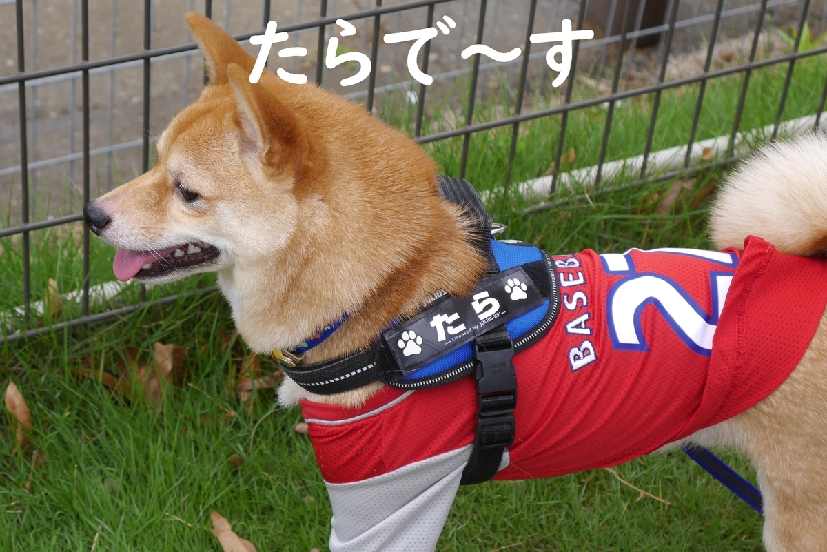 f:id:hanatara:20190713171857j:plain