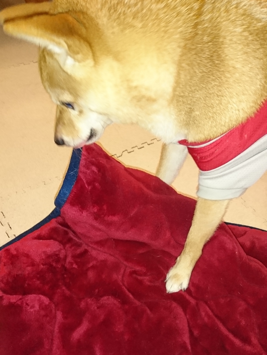 f:id:hanatara:20190721090521j:plain f:id:hanatara:20190721090521j:plain