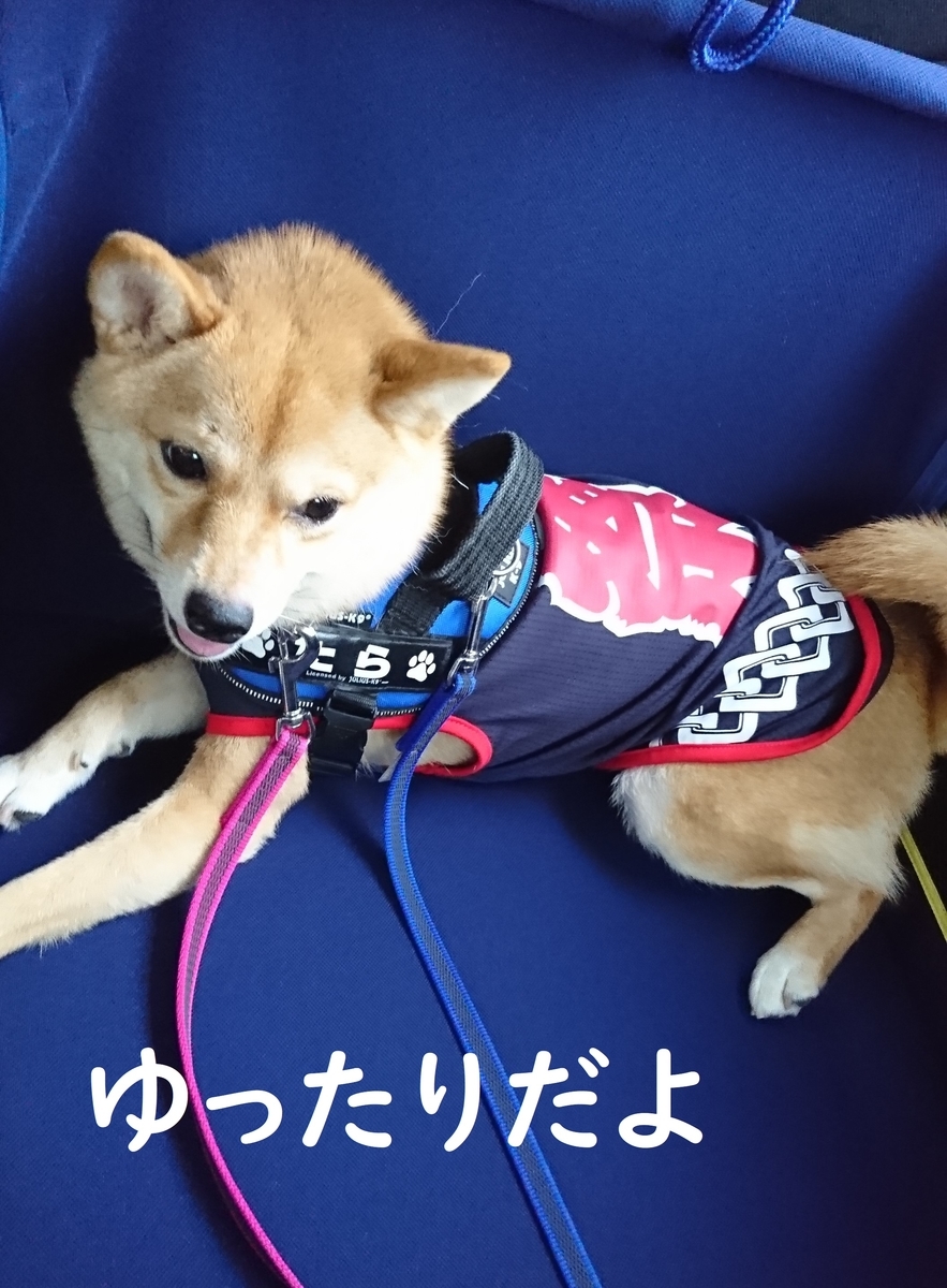 f:id:hanatara:20190721132307j:plain