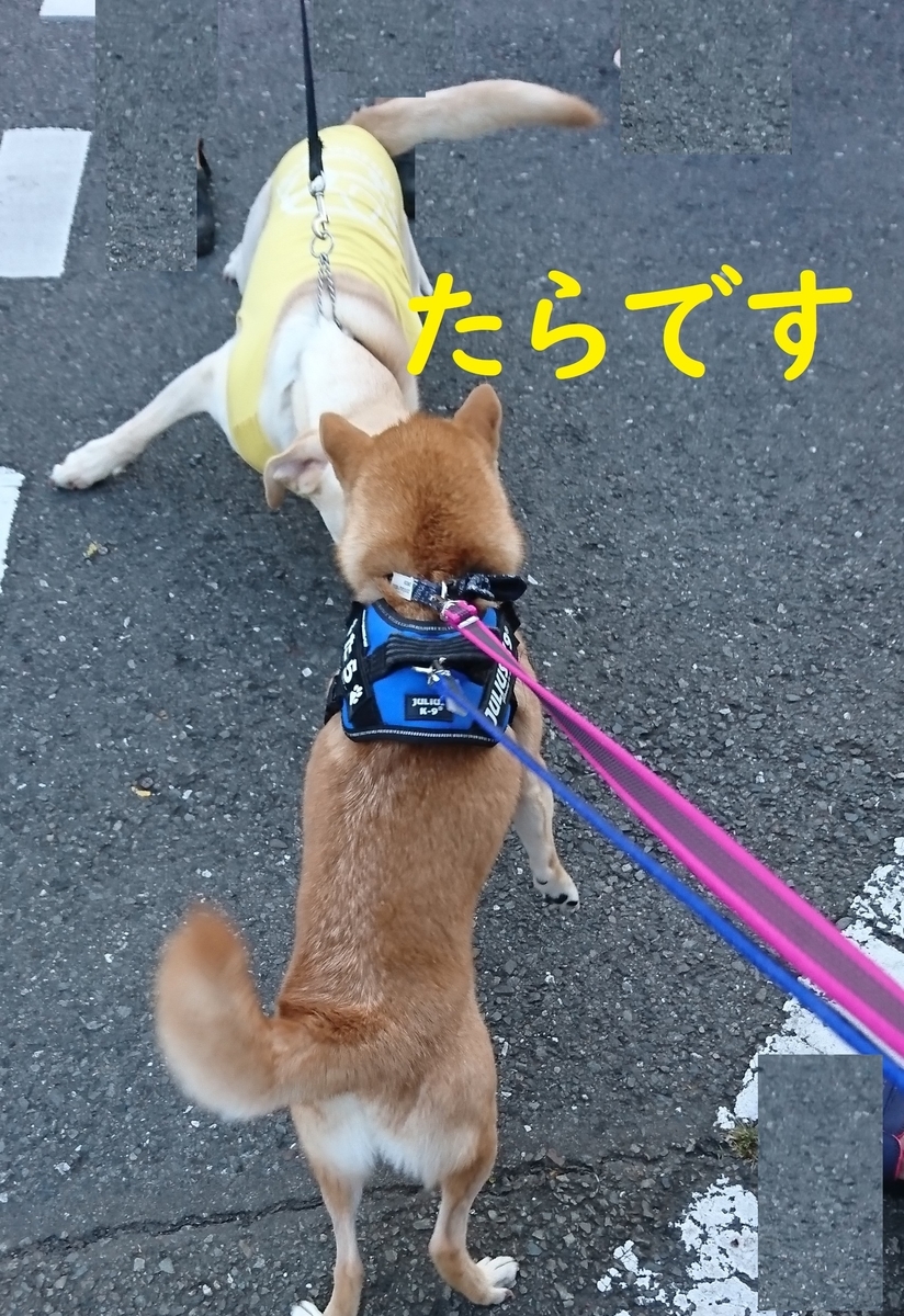 f:id:hanatara:20190804132912j:plain