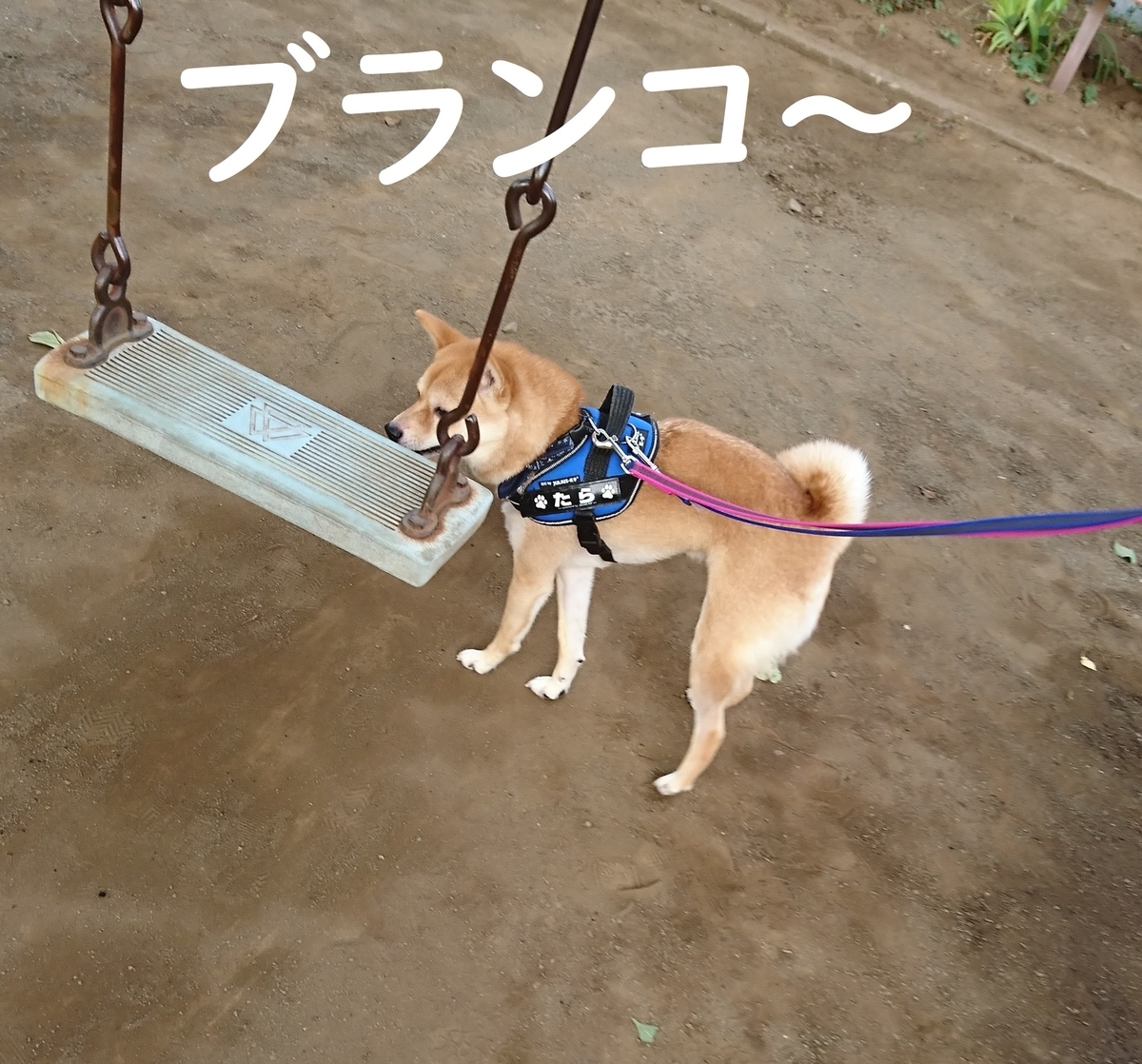 f:id:hanatara:20190804133010j:plain