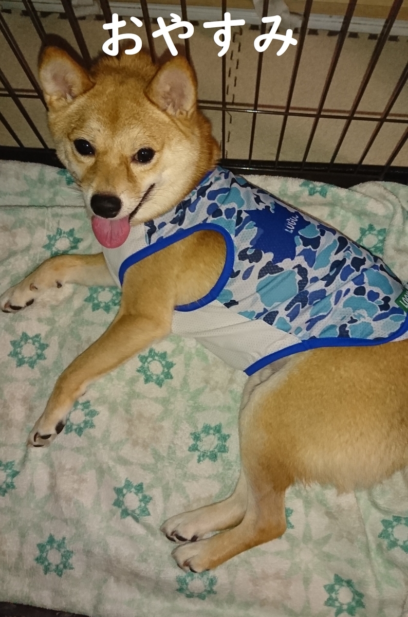 f:id:hanatara:20190810120730j:plain