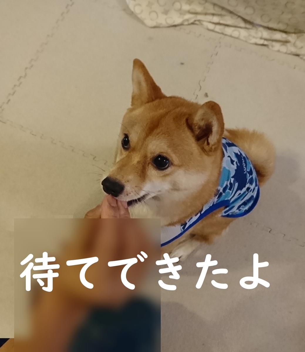 f:id:hanatara:20190810144412j:plain f:id:hanatara:20190810144412j:plain