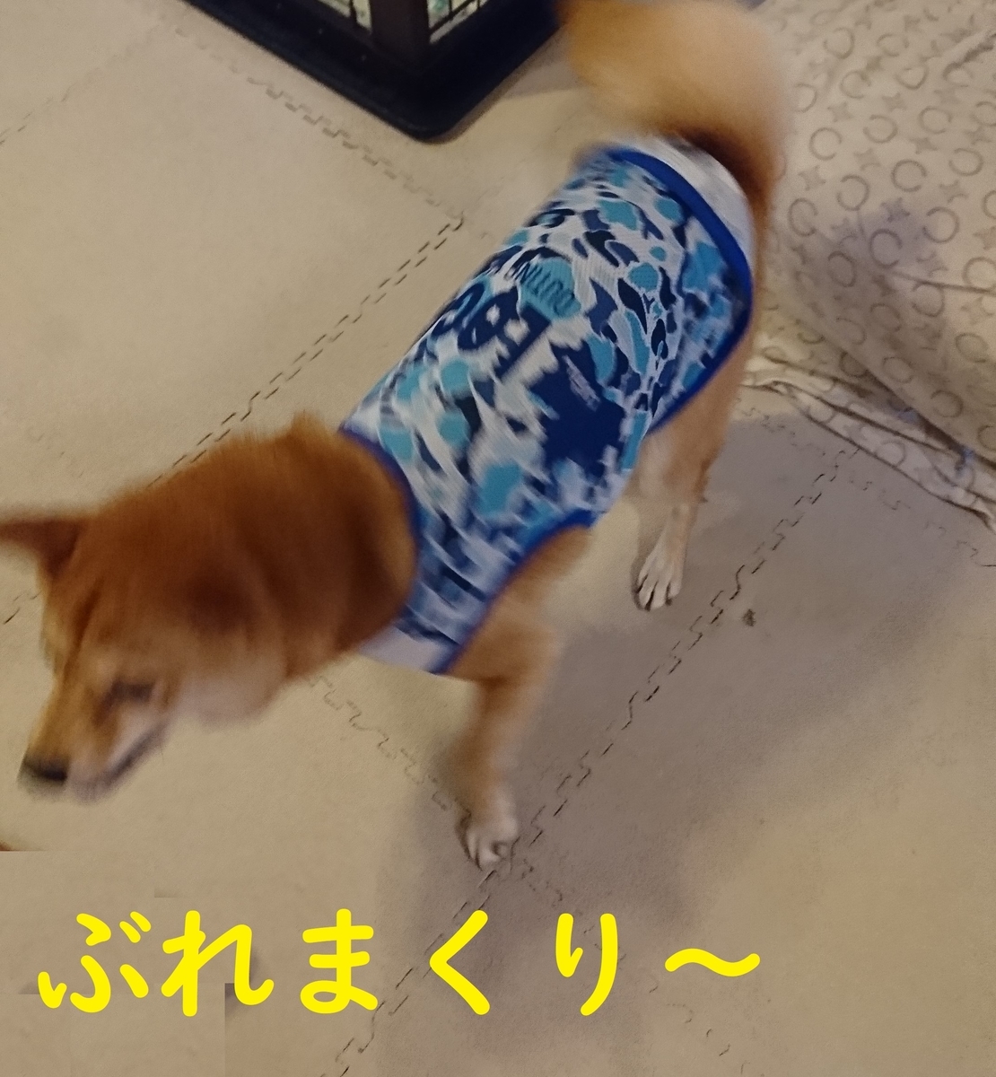 f:id:hanatara:20190810144557j:plain f:id:hanatara:20190810144557j:plain