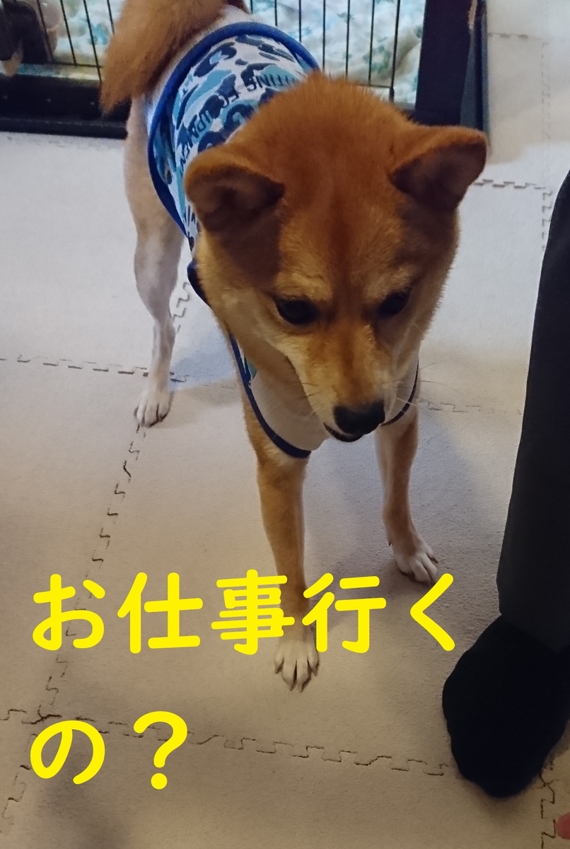 f:id:hanatara:20190810144715j:plain f:id:hanatara:20190810144715j:plain