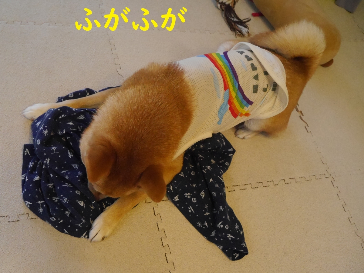 f:id:hanatara:20190818080345j:plain