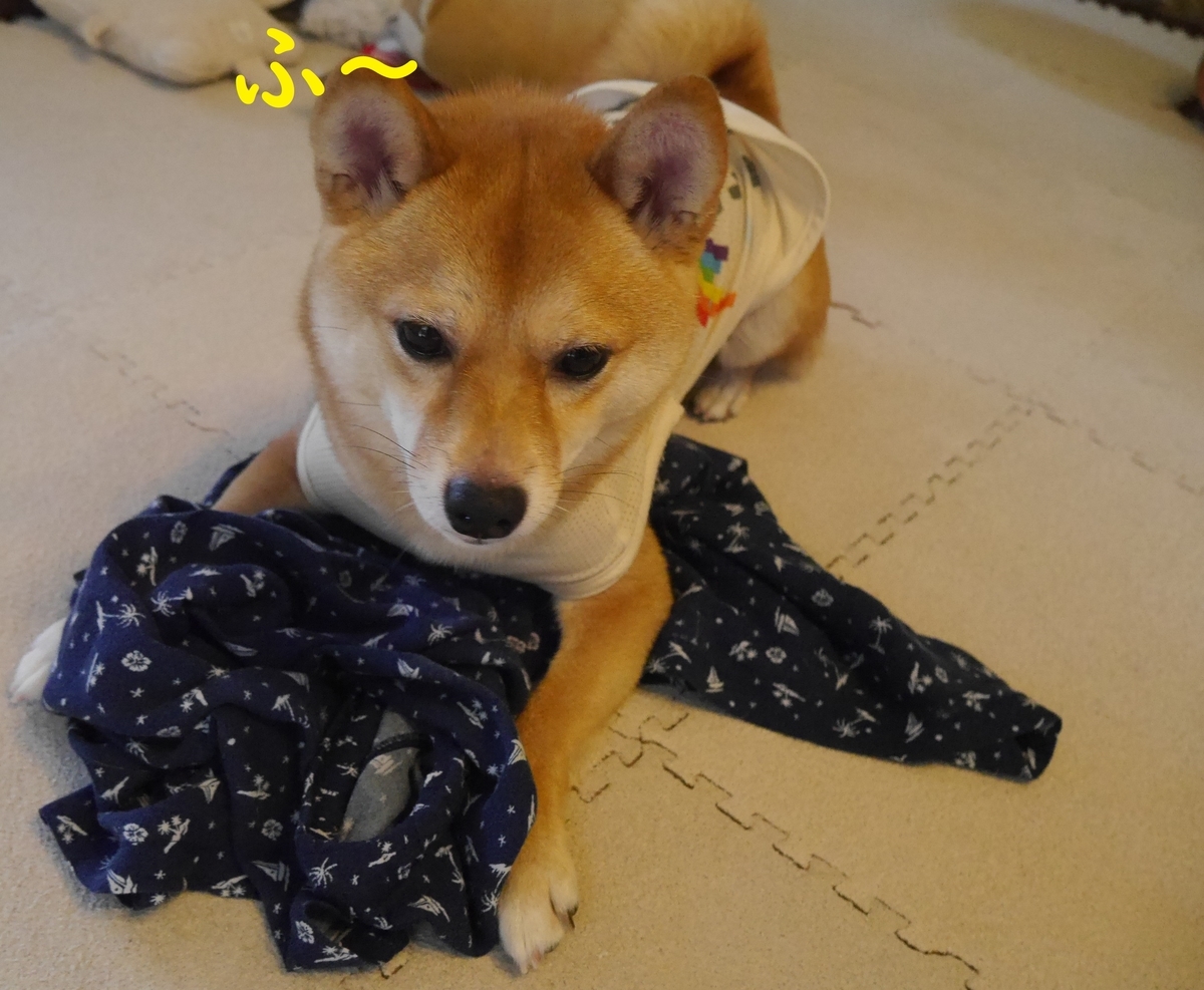 f:id:hanatara:20190818080443j:plain