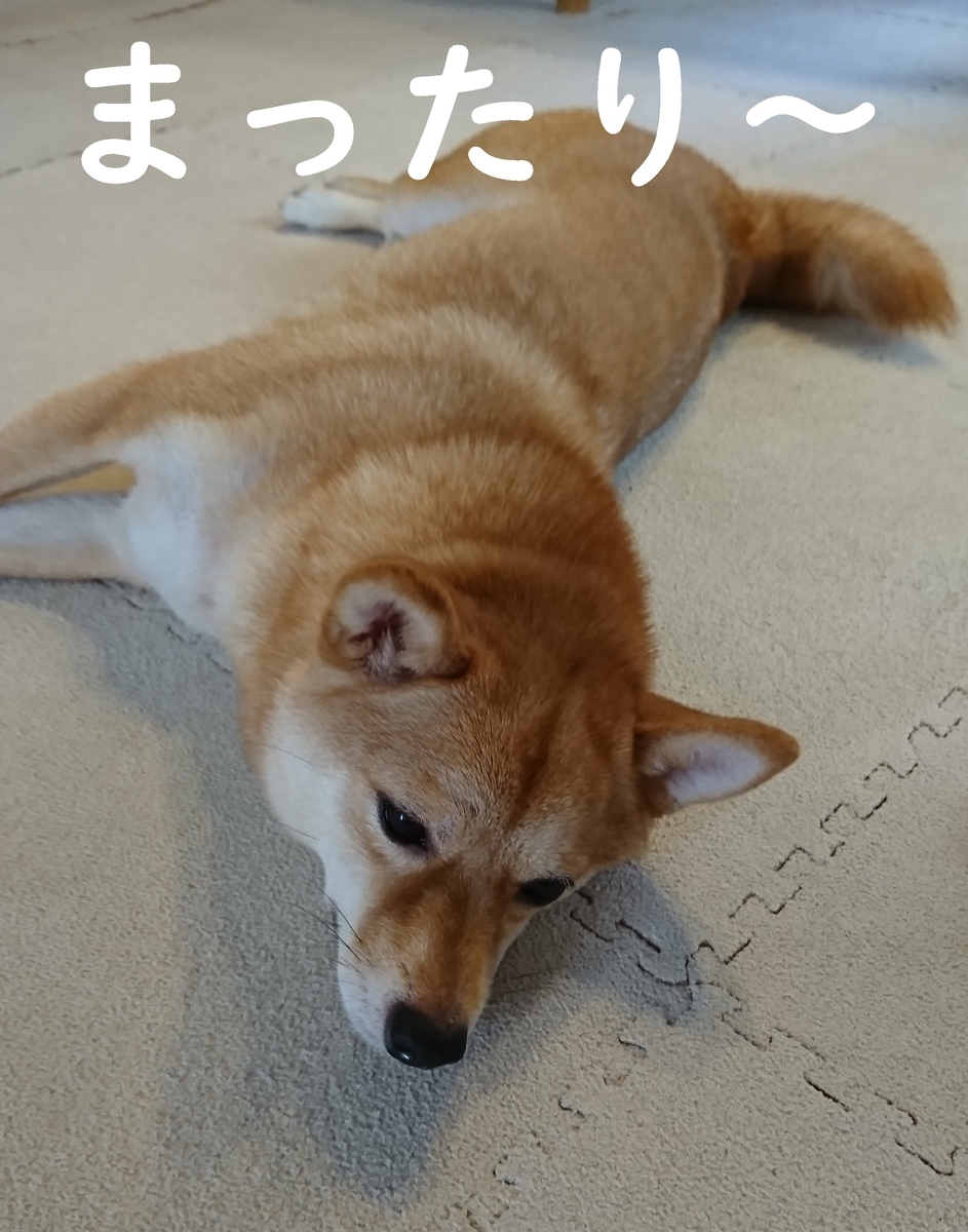 f:id:hanatara:20190825091709j:plain