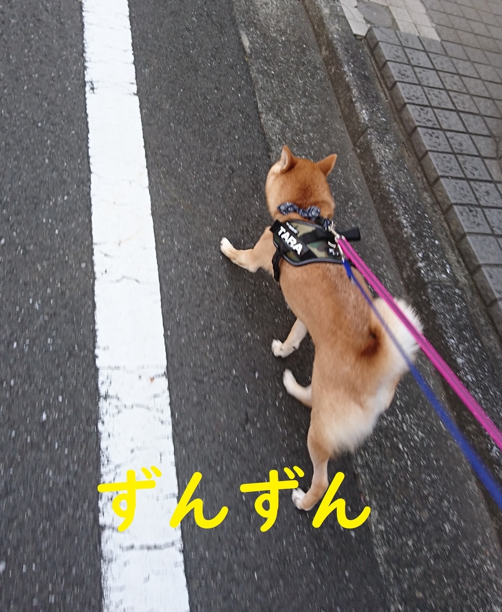 f:id:hanatara:20190825091811j:plain