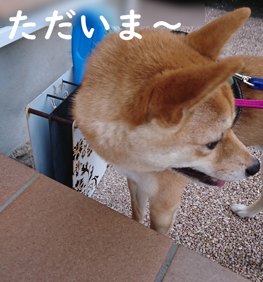 f:id:hanatara:20190825091924j:plain