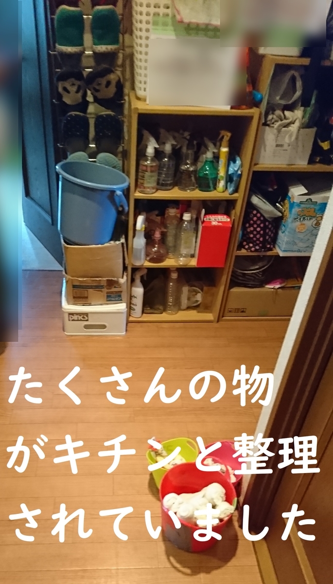 f:id:hanatara:20190825130335j:plain