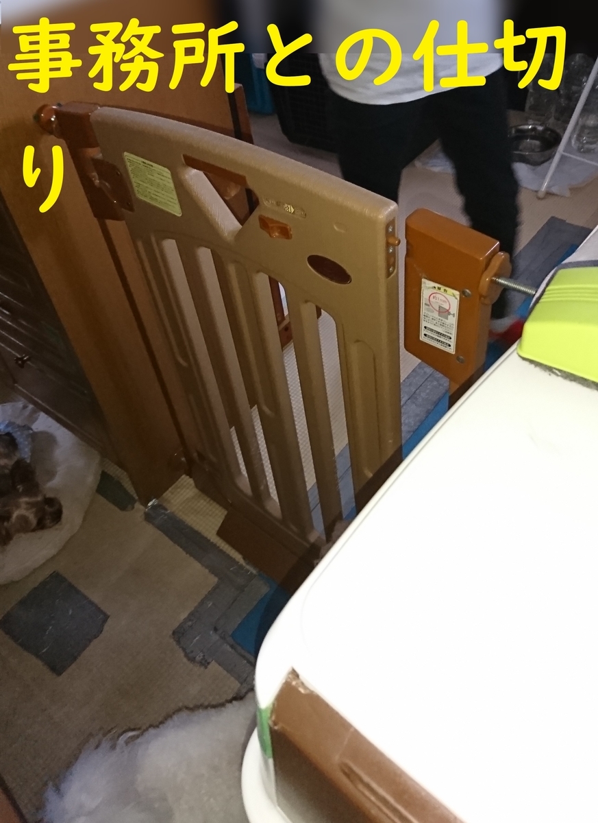 f:id:hanatara:20190825131315j:plain
