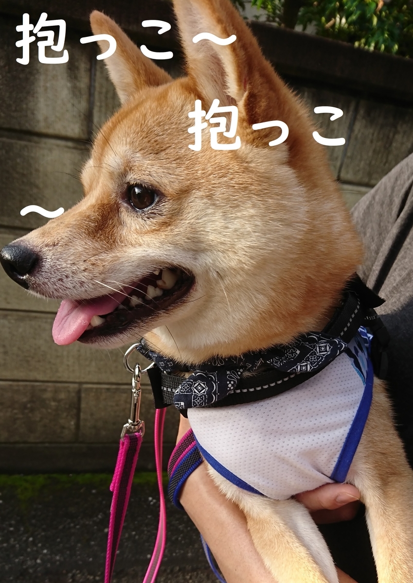 f:id:hanatara:20190825134607j:plain