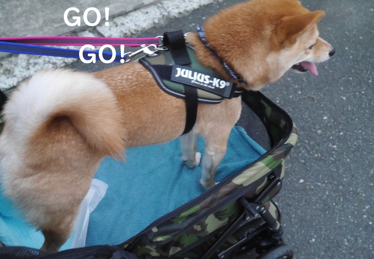 f:id:hanatara:20190831143003j:plain