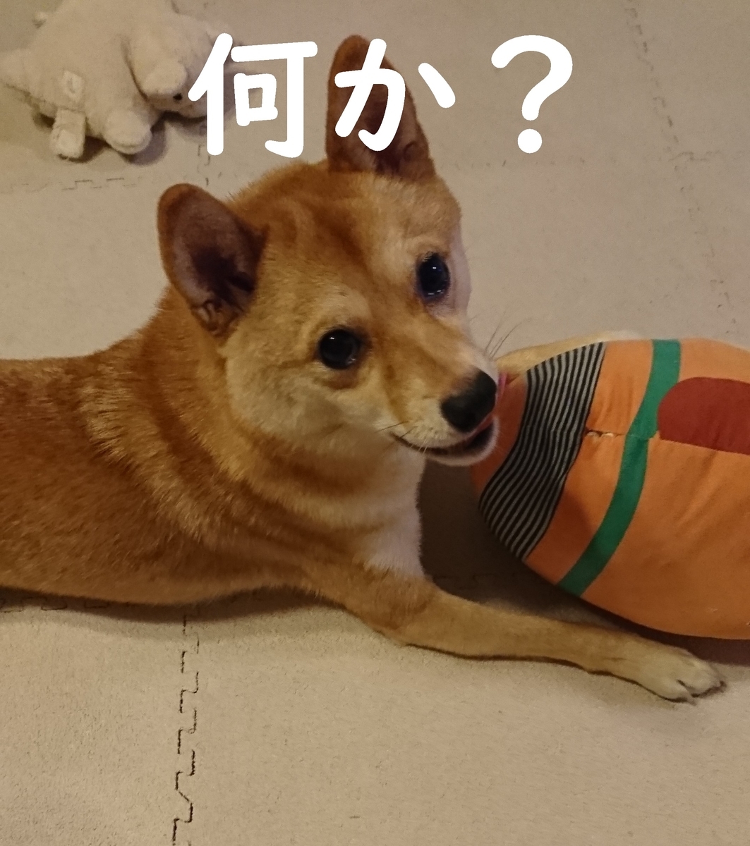 f:id:hanatara:20190831171407j:plain