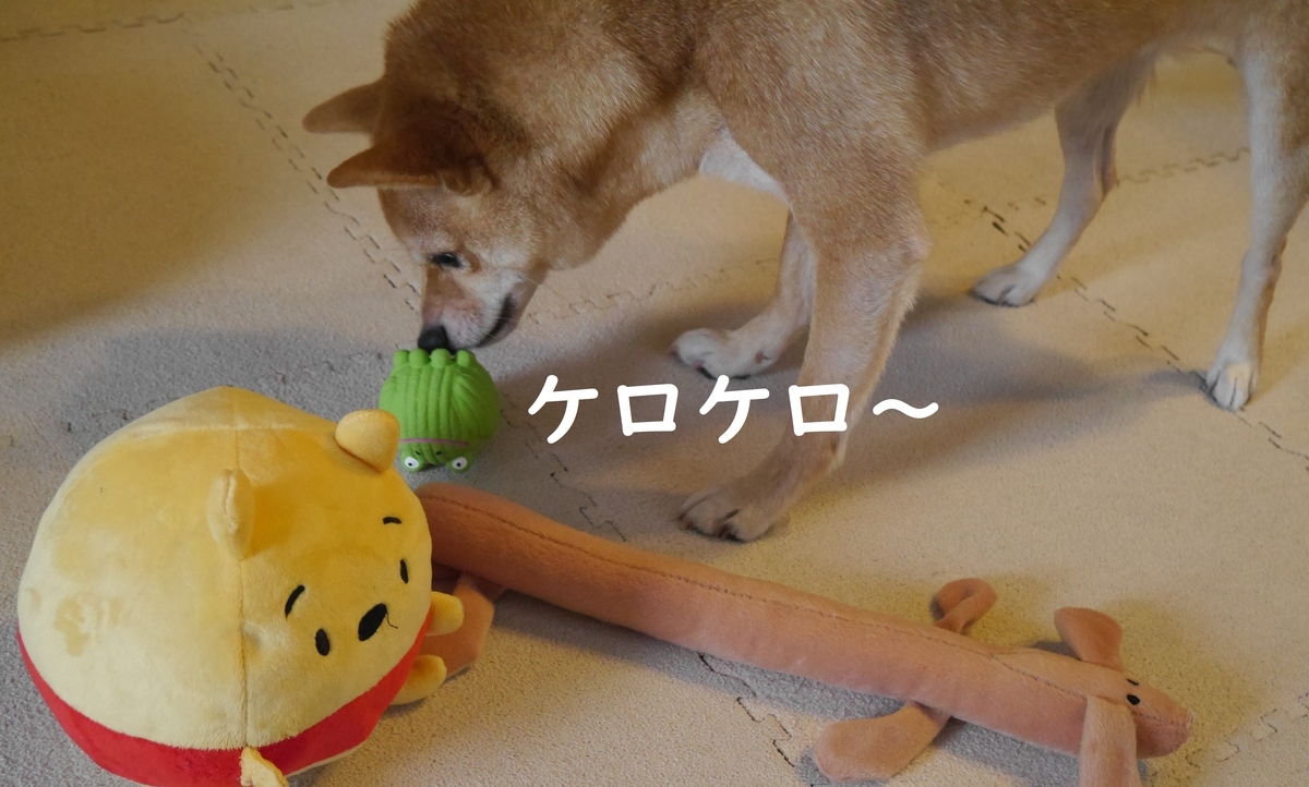 f:id:hanatara:20190904135913j:plain