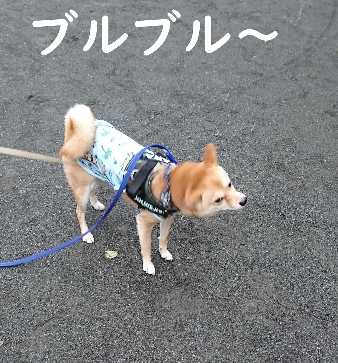 f:id:hanatara:20190904140010j:plain