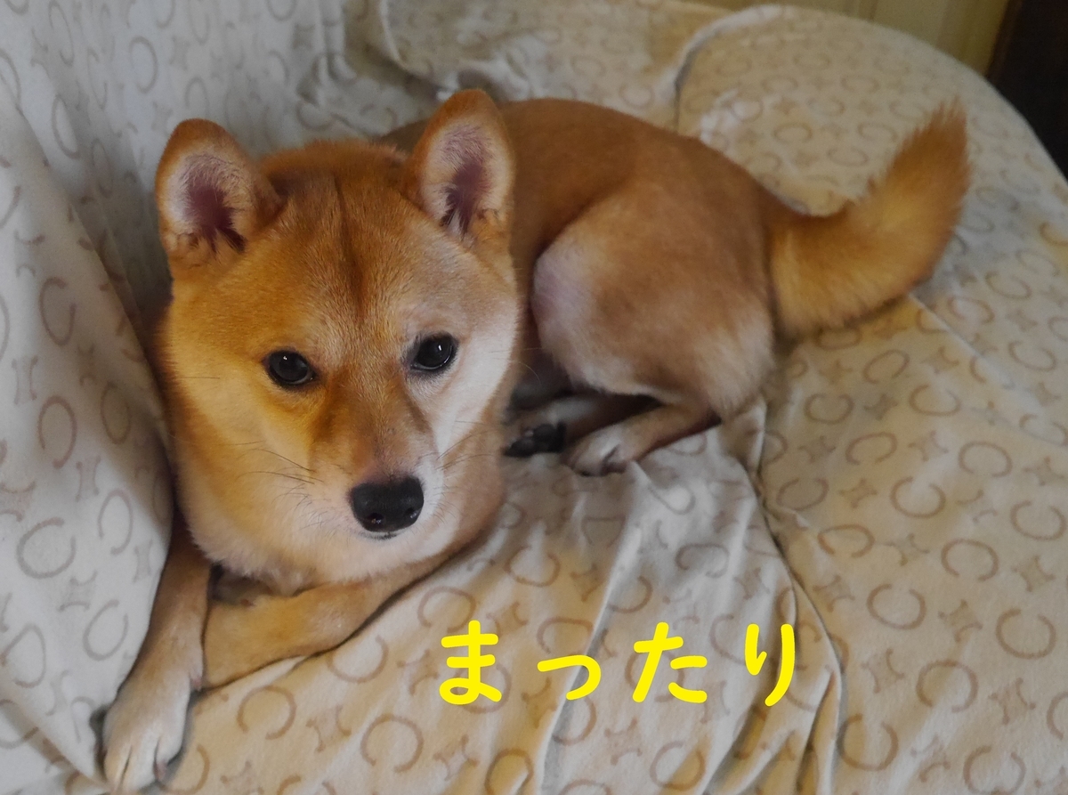 f:id:hanatara:20190904140113j:plain