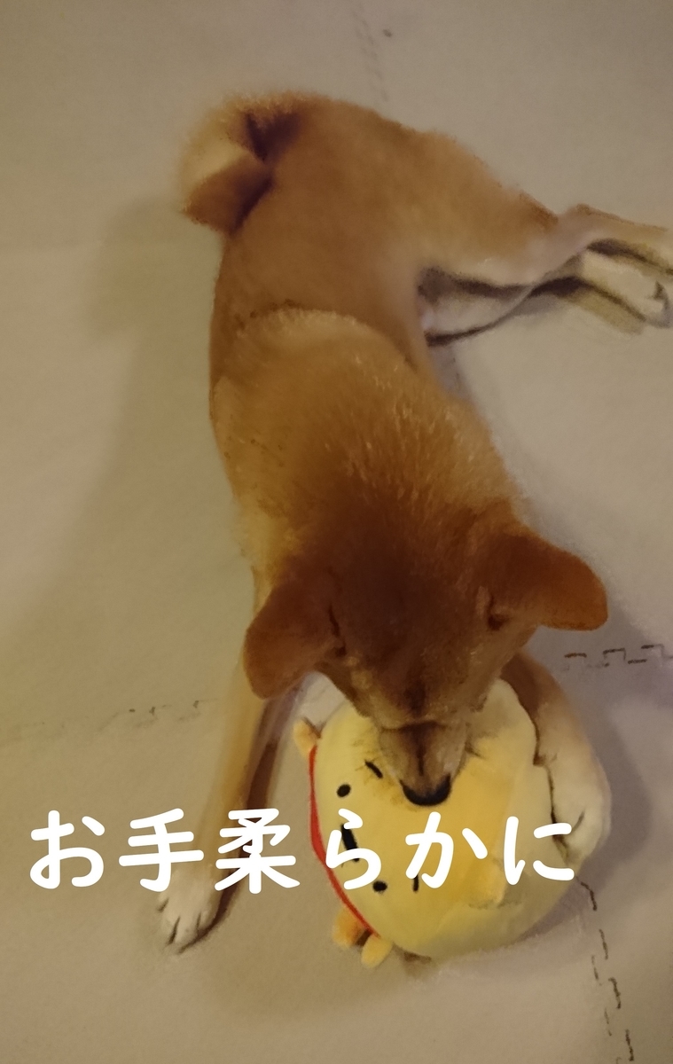 f:id:hanatara:20190904170050j:plain f:id:hanatara:20190904170050j:plain
