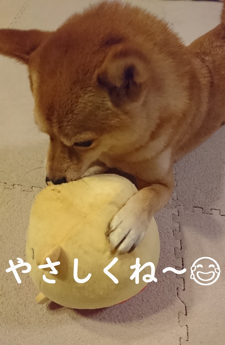 f:id:hanatara:20190904170156j:plain f:id:hanatara:20190904170156j:plain