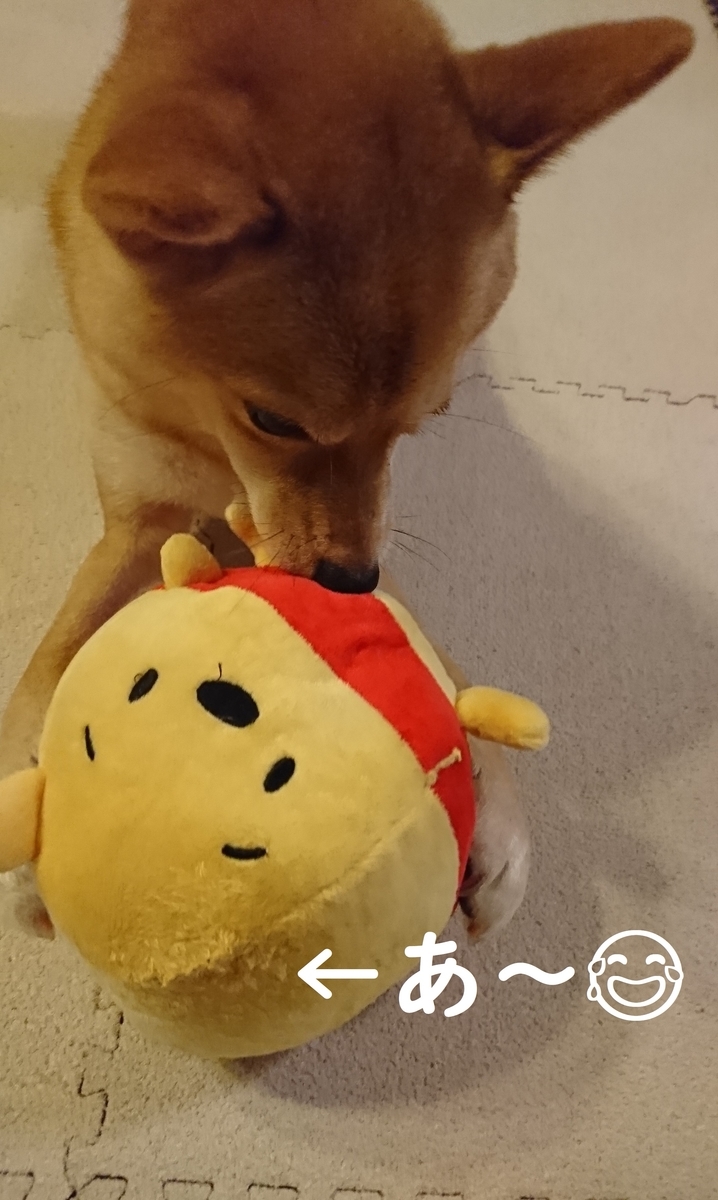 f:id:hanatara:20190904170340j:plain f:id:hanatara:20190904170340j:plain