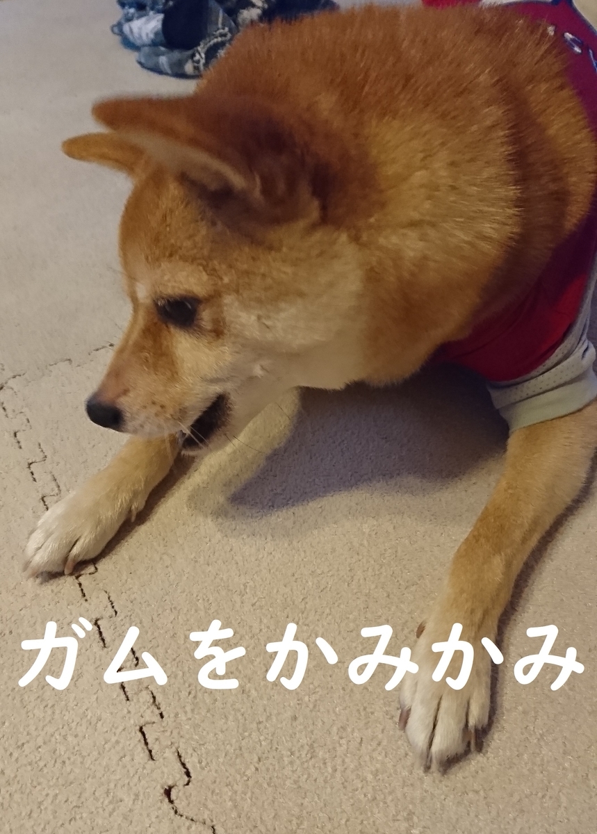 f:id:hanatara:20190904170436j:plain f:id:hanatara:20190904170436j:plain
