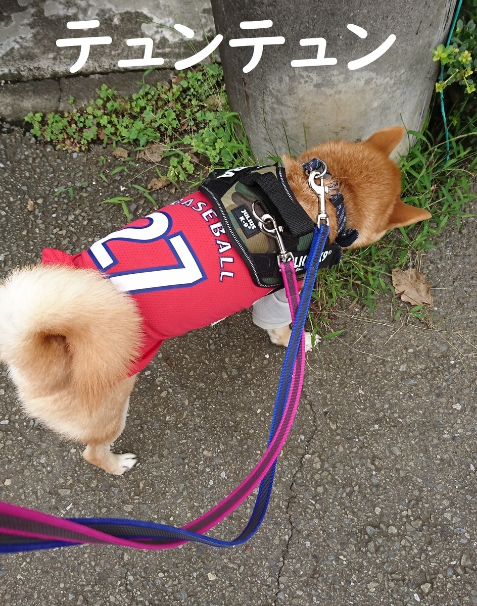 f:id:hanatara:20190907140418j:plain