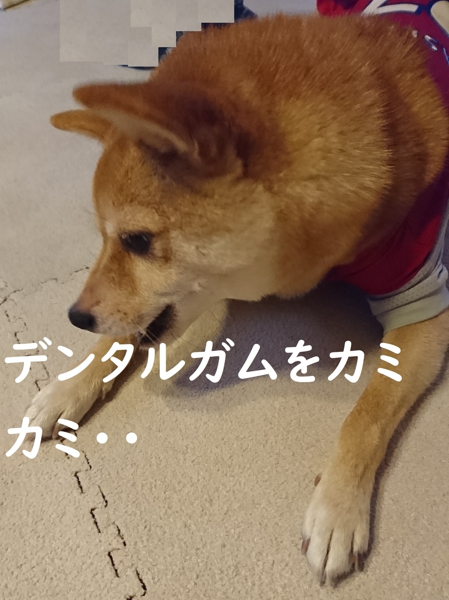 f:id:hanatara:20190907140733j:plain