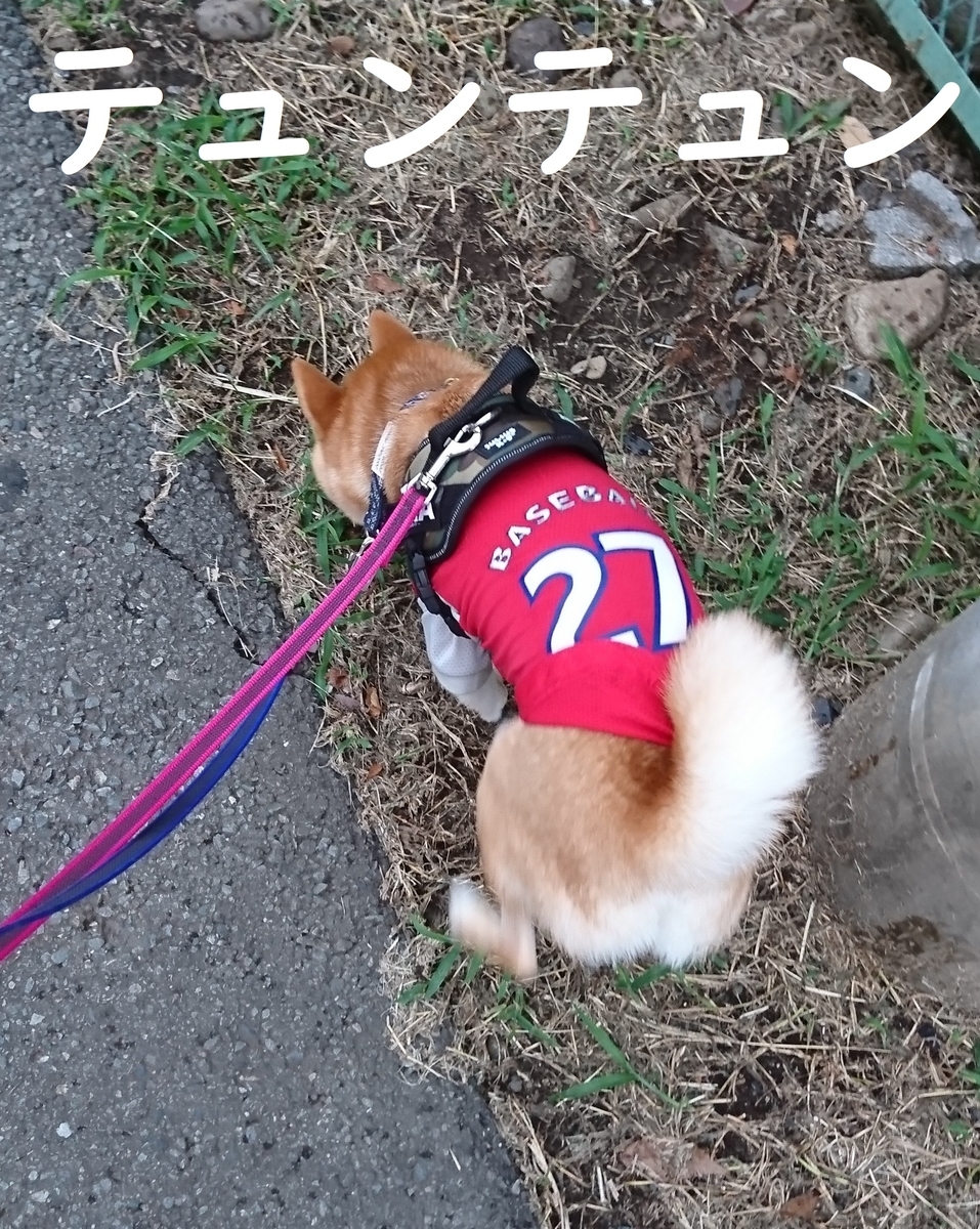 f:id:hanatara:20190907153347j:plain