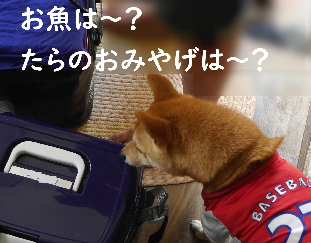 f:id:hanatara:20190907170323j:plain
