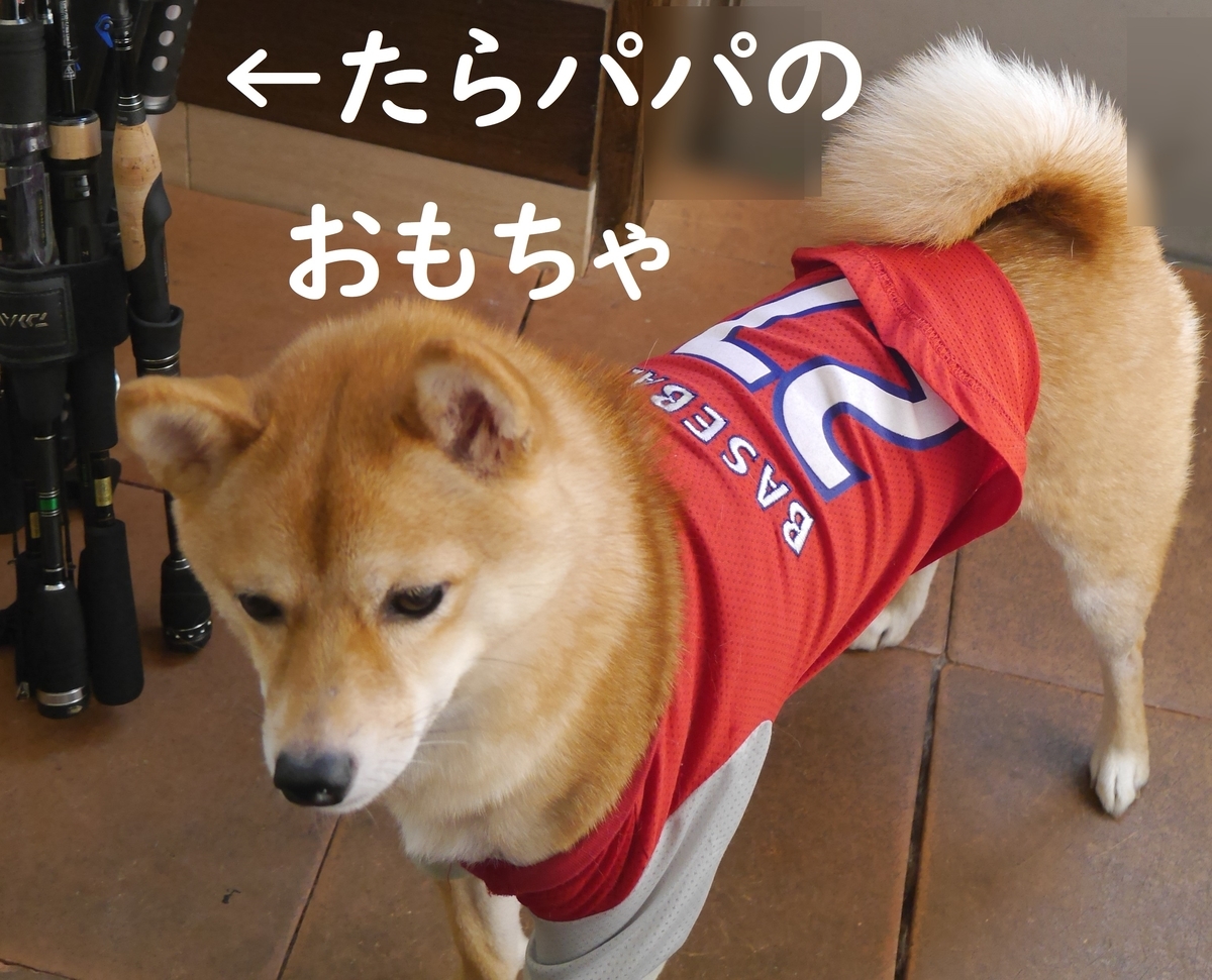 f:id:hanatara:20190907170652j:plain