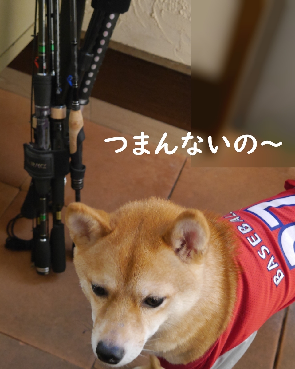 f:id:hanatara:20190907170928j:plain