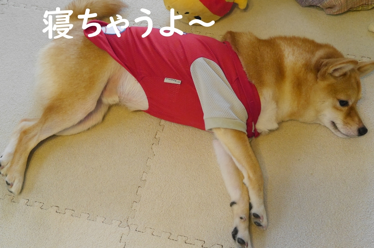 f:id:hanatara:20190908083116j:plain