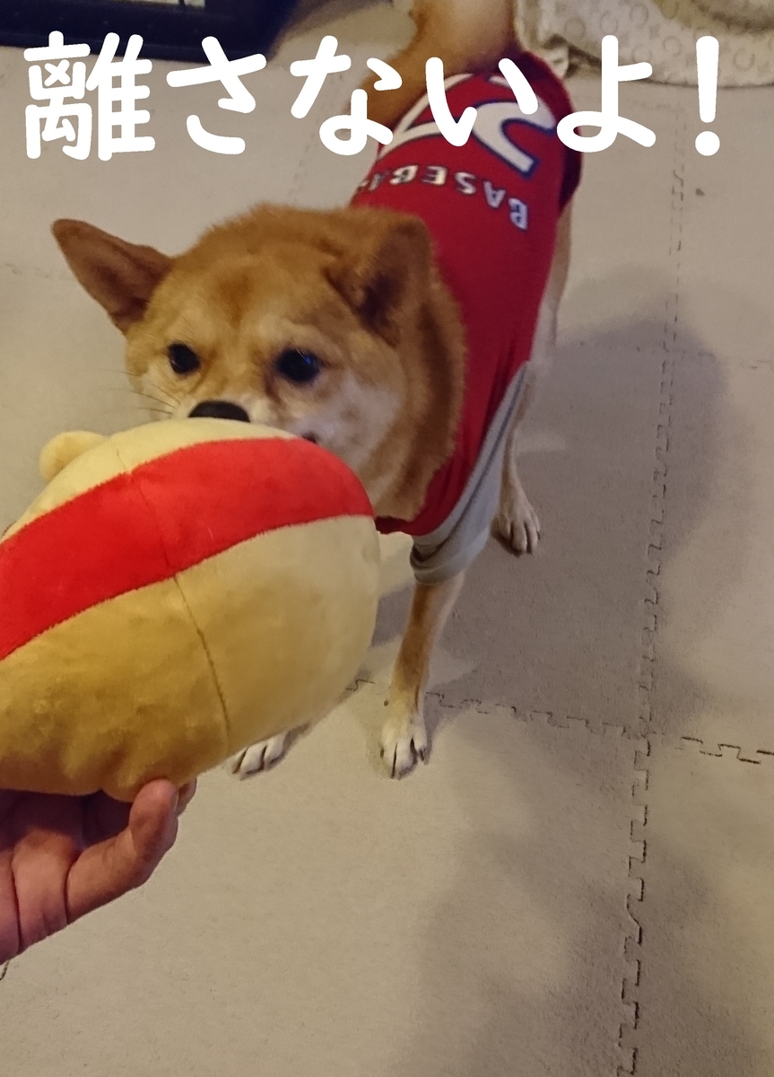 f:id:hanatara:20190914153007j:plain