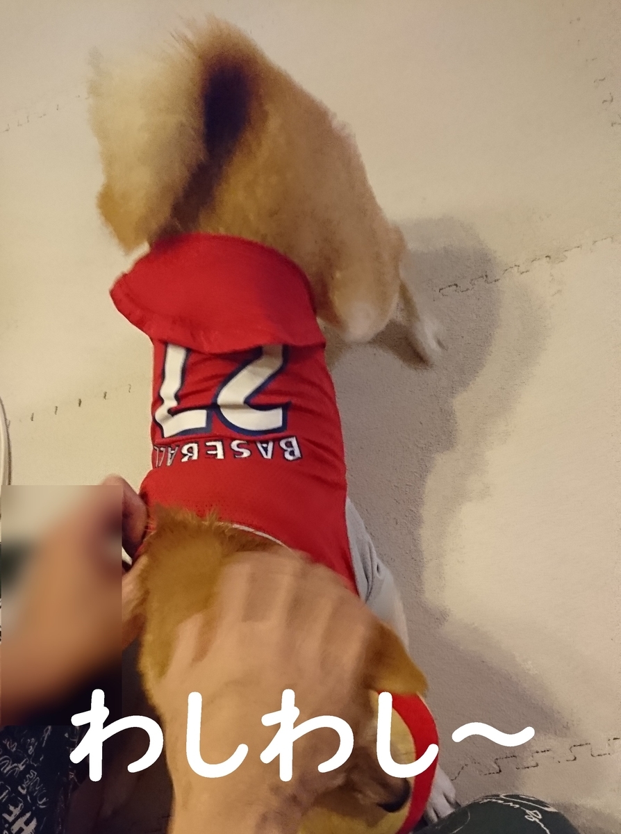 f:id:hanatara:20190914153151j:plain