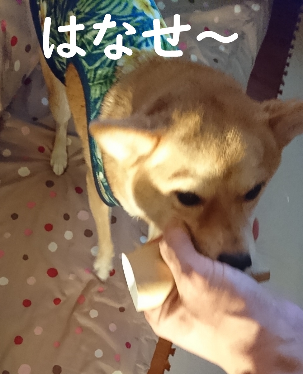 f:id:hanatara:20190914201317j:plain