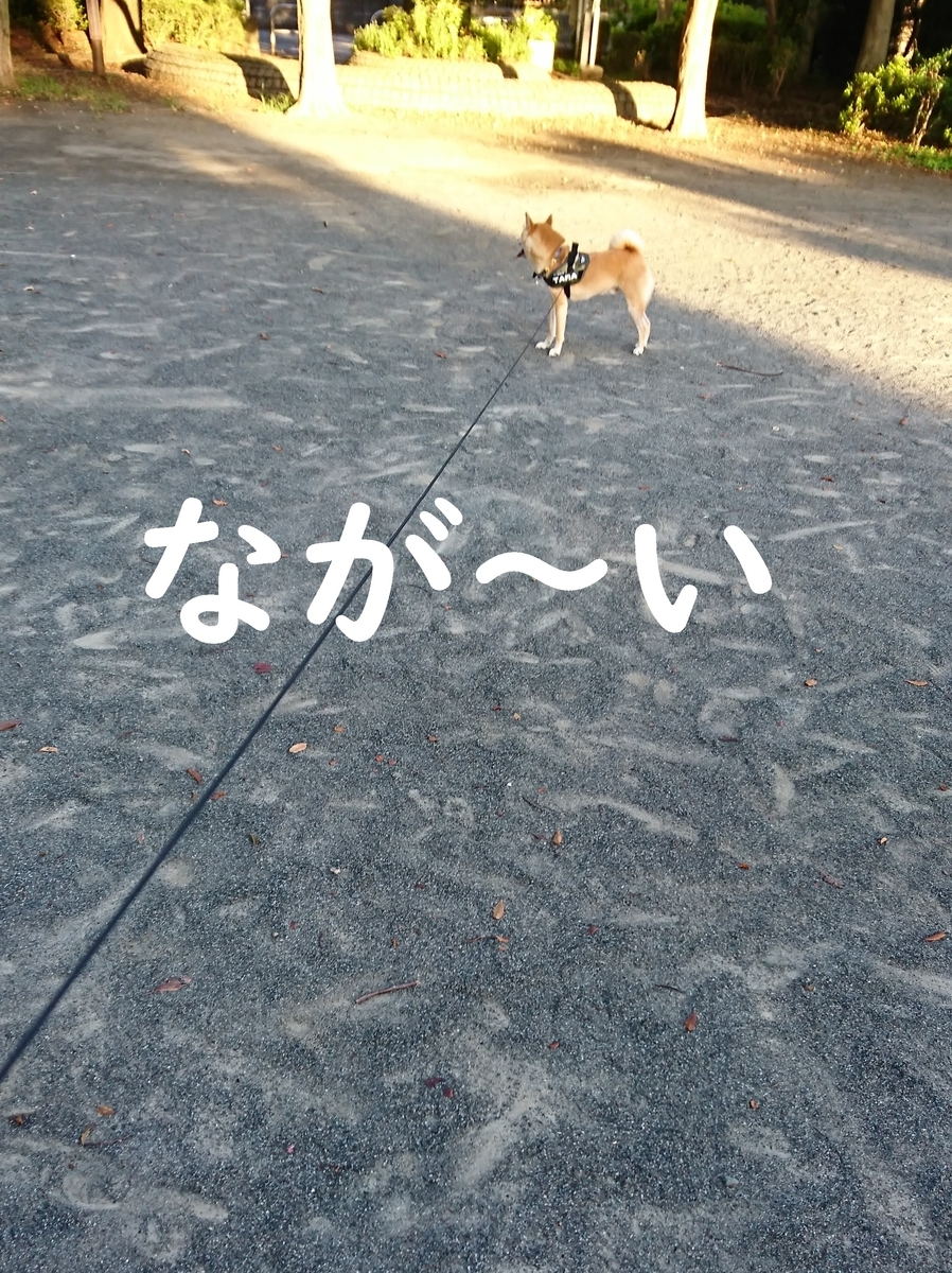 f:id:hanatara:20190914202124j:plain