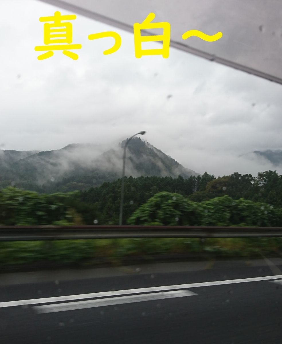 f:id:hanatara:20190918080629j:plain