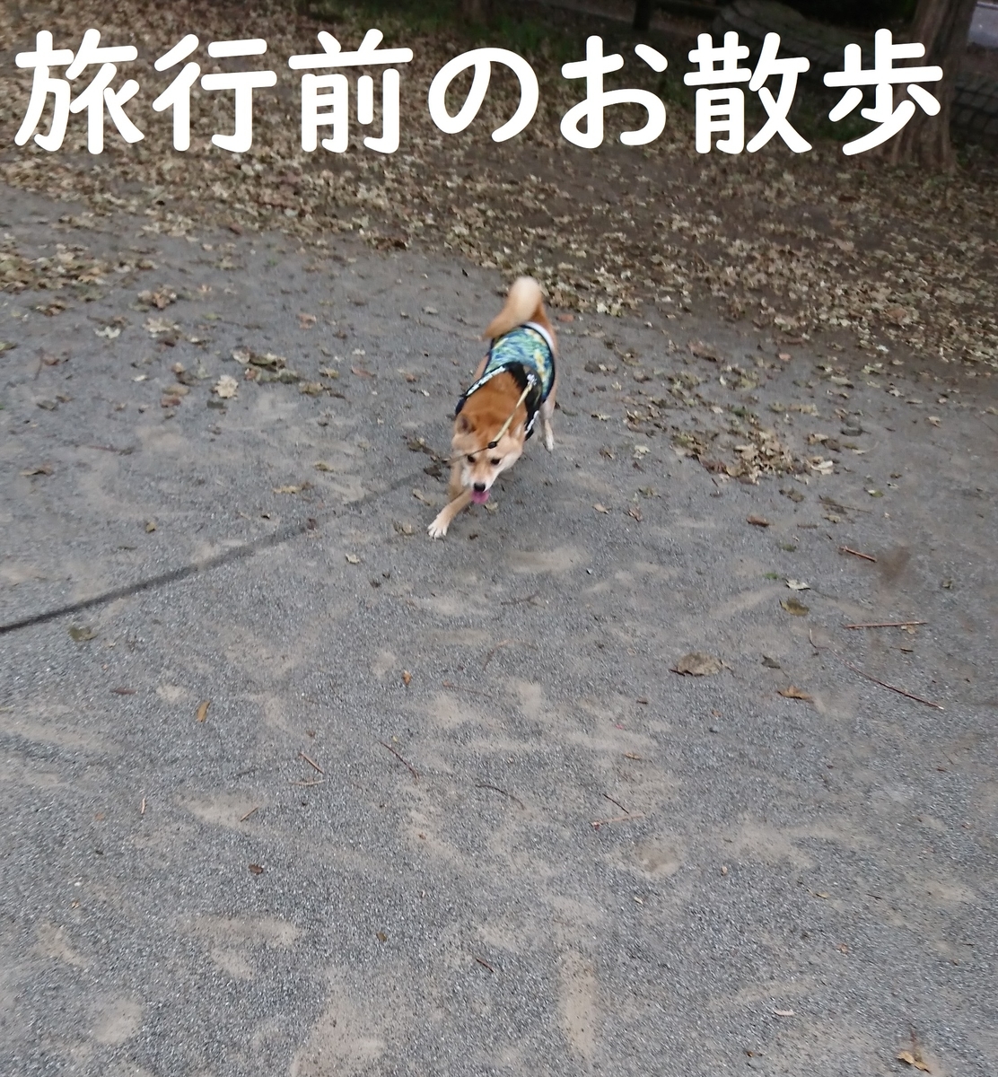 f:id:hanatara:20190918081032j:plain