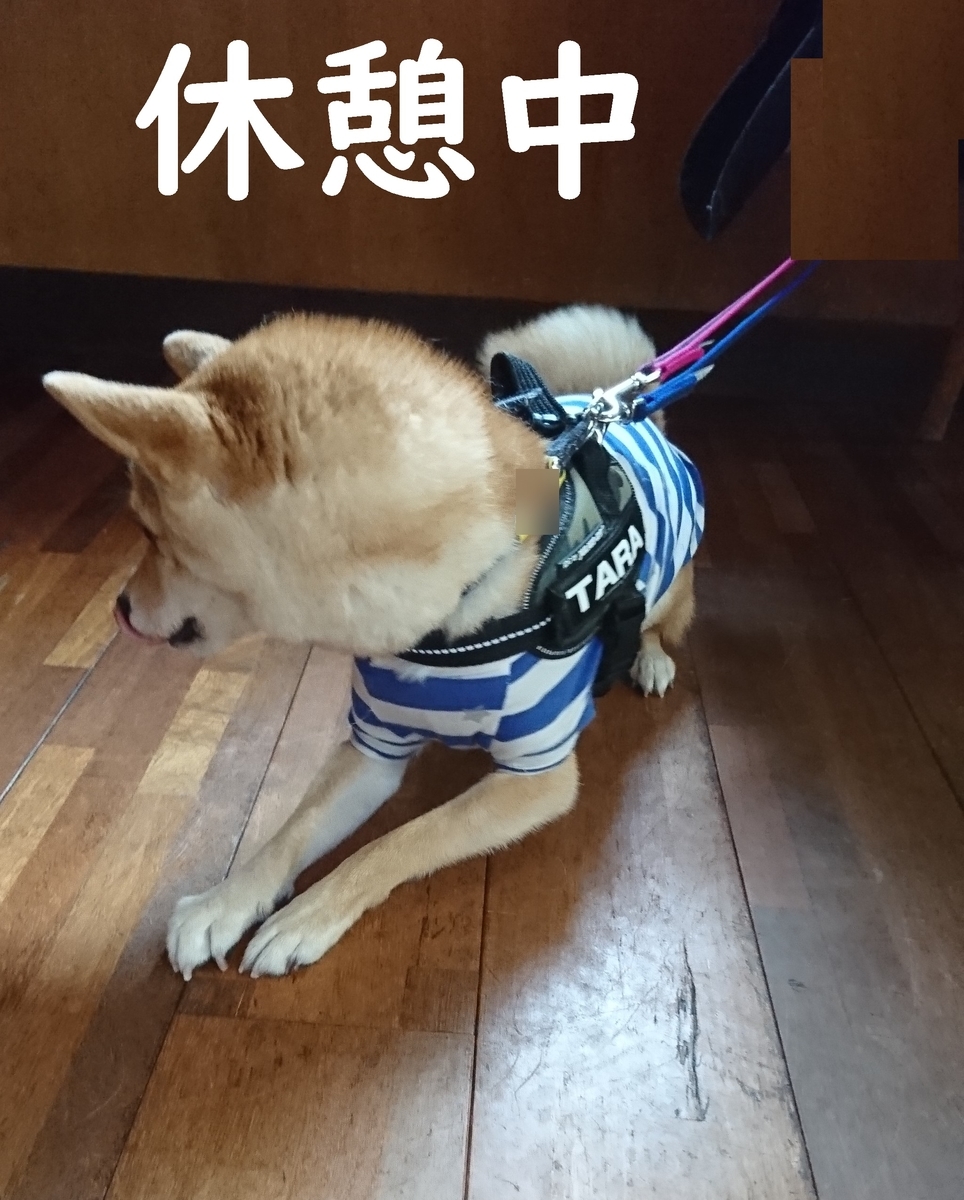 f:id:hanatara:20190918083014j:plain