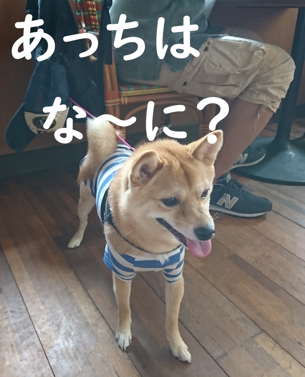 f:id:hanatara:20190918083537j:plain
