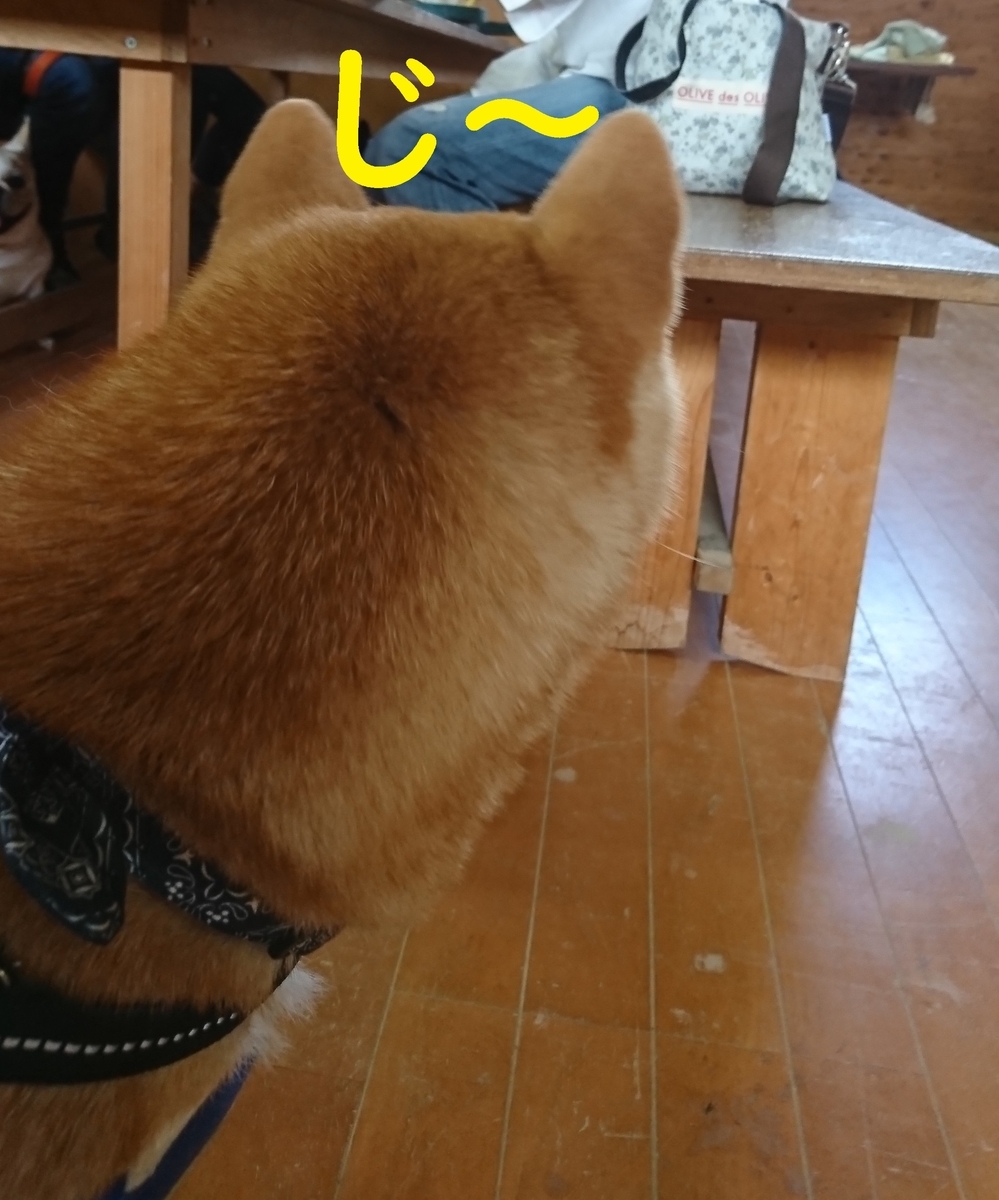 f:id:hanatara:20190918085338j:plain