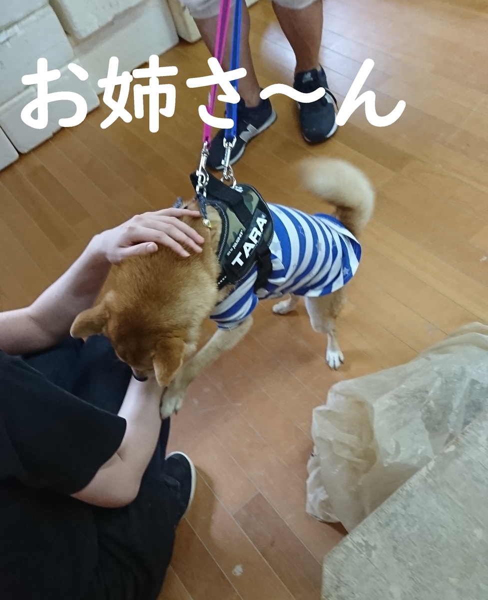 f:id:hanatara:20190918085633j:plain