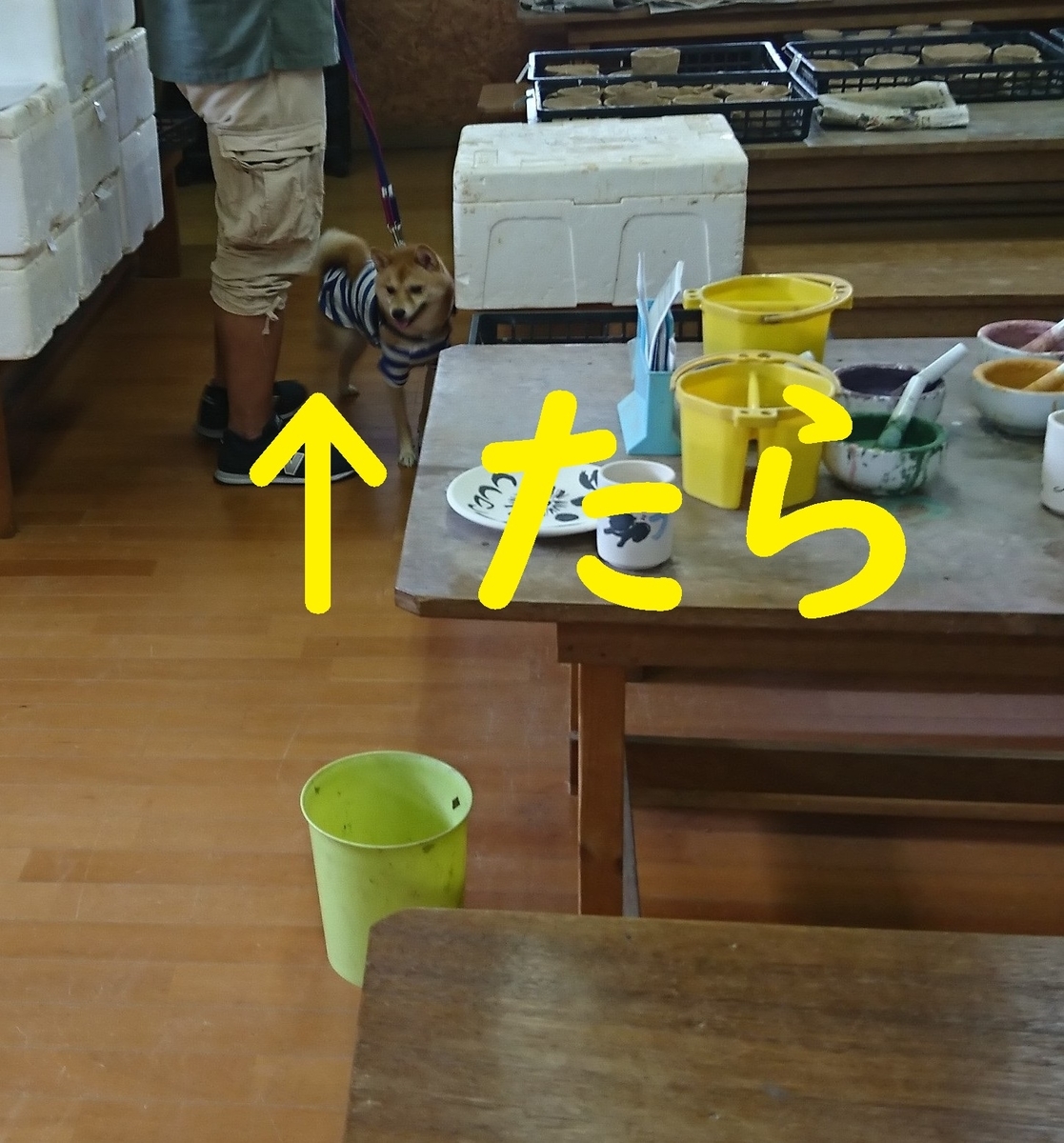 f:id:hanatara:20190918090151j:plain